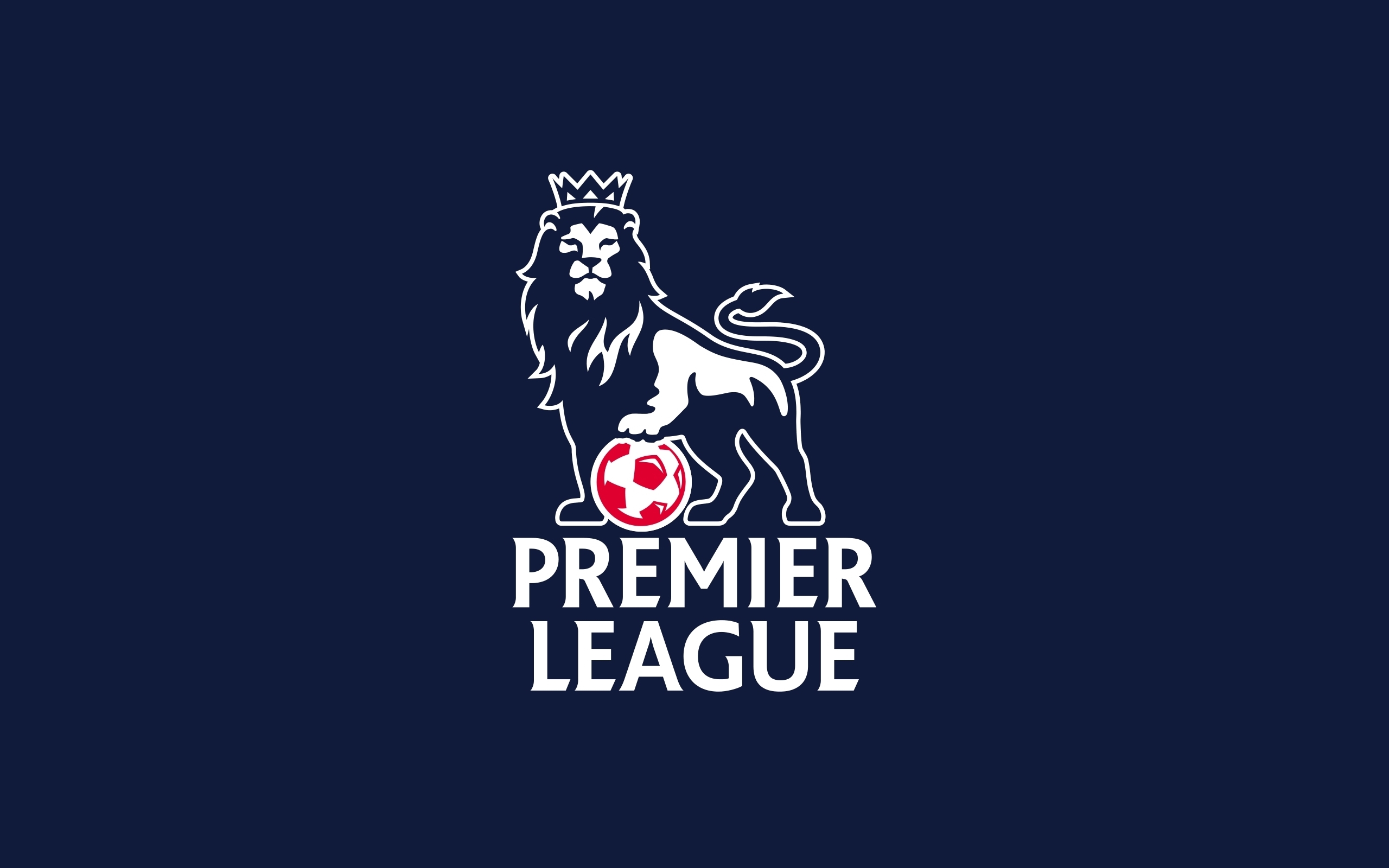 English Premier League Primary Logo t shirt iron on transfers